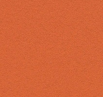 Линолеум Forbo Bulletin Board 2211 tangerine zest фото 1 | FLOORDEALER